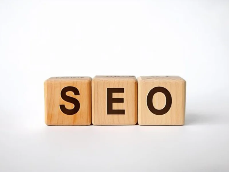 SEO Services in Manipur, Google promotion Services By Digital Web Future