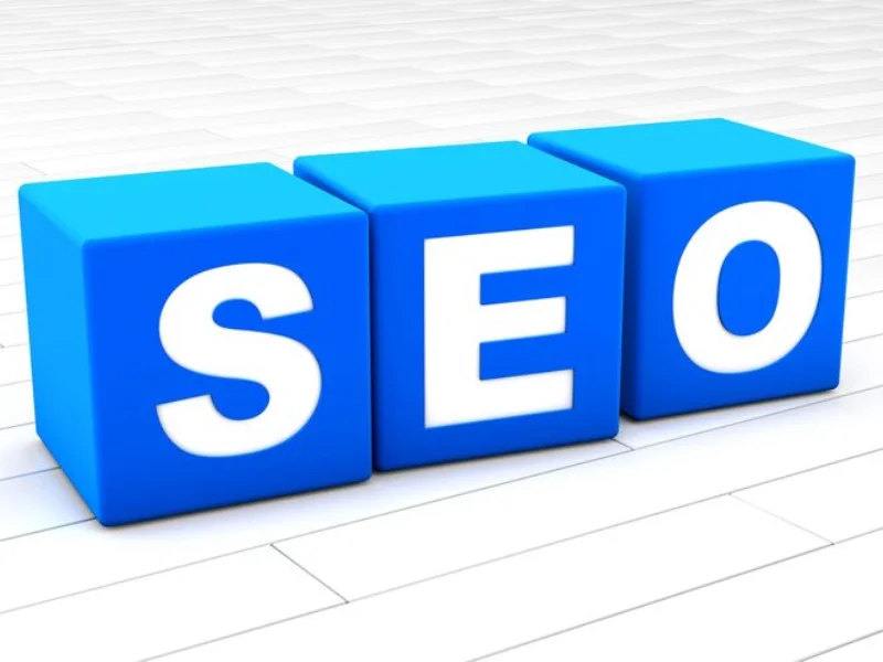 SEO Services in Panaji, Google Promotion Services By Digital Web Future